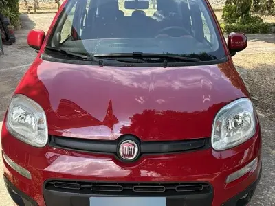 Usata Fiat Panda 69 CV (50 kW) 2016 Rosso Utilitaria