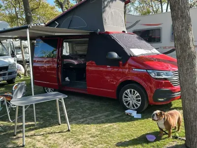 Usata VW California