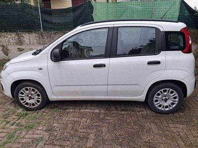 Usata Fiat Panda Pop 69 CV (50 kW) 2013 Bianco Utilitaria