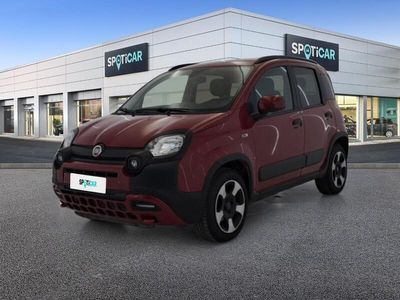 usata Fiat Panda Cross 1.0 FireFly 70cv S&S Hybrid