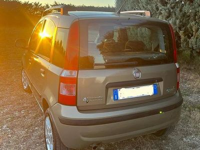 Usata Fiat Panda 77 CV (56 kW) 2008 Marrone Utilitaria