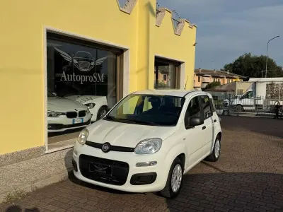 Usata Fiat Panda Easy 69 CV (50 kW) 2019 Bianco Utilitaria