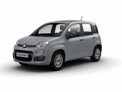 usata Fiat Panda Cross 1.0 FireFly S&S Hybrid City del 2022 usata a Potenza