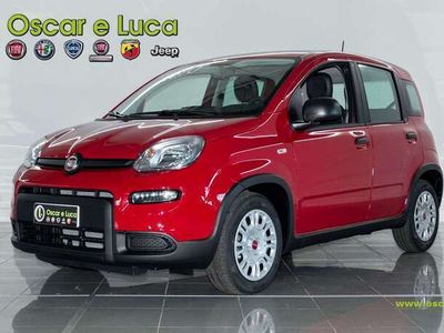 usata Fiat Panda 1.0 hybrid 70cv