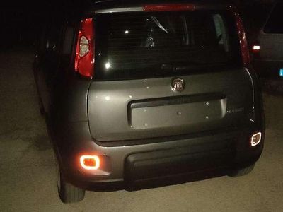 Usata Fiat Panda S 69 CV (50 kW) 2024 Utilitaria