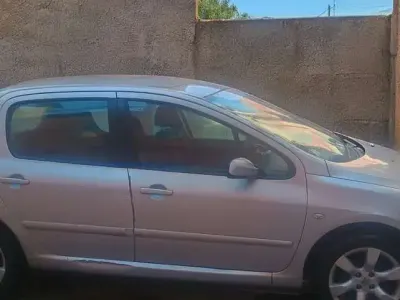 Usata Peugeot 307
