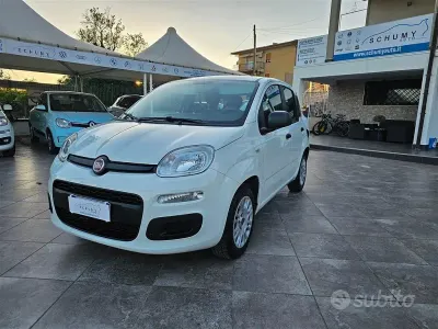 Usata Fiat Panda Easy 95 CV (69 kW) 2019 Bianco Berlina
