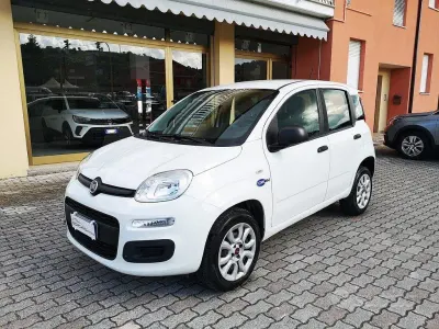 Usata Fiat Panda Easy 84 CV (61 kW) 2020 Bianco Utilitaria