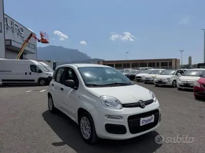 Usata Fiat Panda Lounge 85 CV (62 kW) 2015 Bianco Utilitaria
