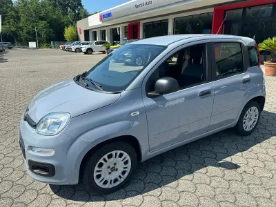 Usata Fiat Panda Easy 69 CV (50 kW) 2019 Grigio Utilitaria