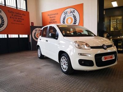 Usata Fiat Panda Easy 69 CV (50 kW) 2019 Bianco Berlina