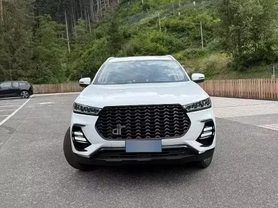 Usata DR DR 6.0 154 CV (113 kW) 2022 Bianco SUV