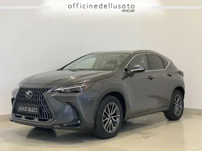 Usata Lexus NX450h+ 309 CV (227 kW) 2022 Other SUV