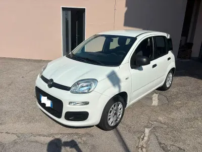 Usata Fiat Panda Easy 69 CV (50 kW) 2020 Bianco Utilitaria