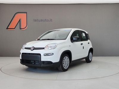 Nuova Fiat Panda Icon 65 CV (47 kW) 2026 Bianco gelato Utilitaria