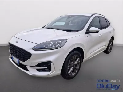 Usata Ford Kuga ST-Line X 225 CV (165 kW) 2023 Bianco SUV
