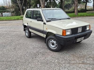 Usata Fiat Panda 4x4 50 CV (36 kW) 1989 Verde Utilitaria