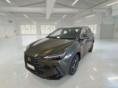 Usata Lexus NX350h 190 CV (139 kW) 2023 Verde SUV