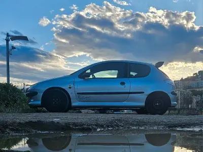 Usata Peugeot 206
