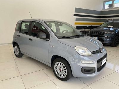 Usata Fiat Panda Easy 69 CV (50 kW) 2019 Grigio Utilitaria