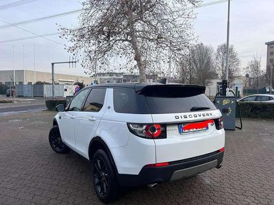 Usata Land Rover Discovery Sport SE 150 CV (110 kW) 2019 SUV