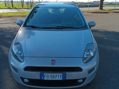 Usata Fiat Punto Lounge 69 CV (50 kW) 2016 Argento Utilitaria