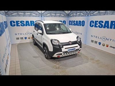 Usata Fiat Panda Cross Cross 70 CV (51 kW) 2024 Bianco Utilitaria