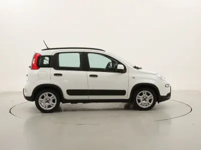 Usata Fiat Panda City Life 70 CV (51 kW) 2022 Biancobianco Utilitaria