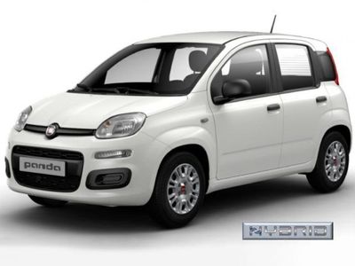 usata Fiat Panda 1.0 FireFly S&S Hybrid con Pack Comfort +5 Posto