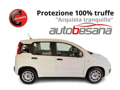 Usata Fiat Panda Easy 69 CV (50 kW) 2020 Bianco Utilitaria