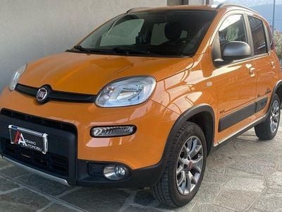 Usata Fiat Panda 4x4 S 86 CV (63 kW) 2019 Argento Utilitaria