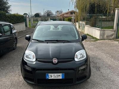 Usata Fiat Panda Dynamic 69 CV (50 kW) 2023 Nero Utilitaria