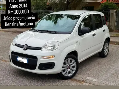 Usata Fiat Panda Lounge 80 CV (58 kW) 2014 Bianco Utilitaria