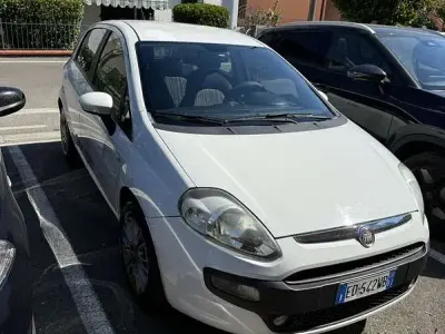 Usata Fiat Punto 80 CV (58 kW) 2011 Bianco Utilitaria