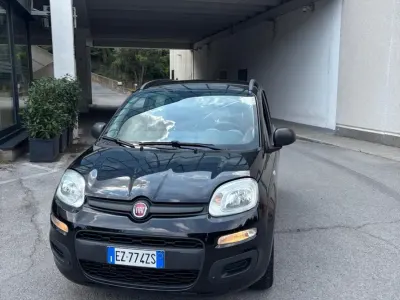 Usata Fiat Panda