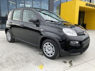 Usata Fiat Panda S 69 CV (50 kW) 2024 Nero Utilitaria