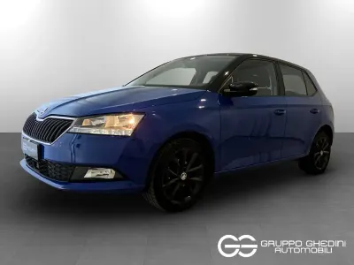 Usata Skoda Fabia