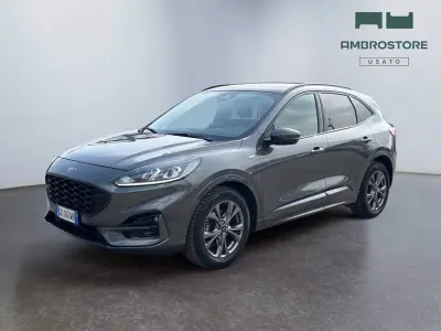 Usado Ford Kuga ST-Line 190 CV (139 kW) 2022 Gris SUV