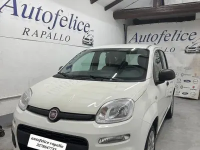 Usata Fiat Panda Lounge 69 CV (50 kW) 2019 Bianco Utilitaria