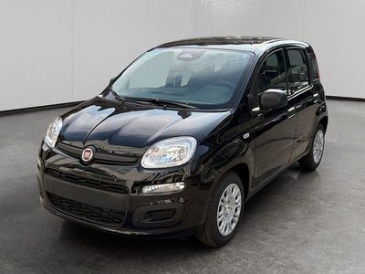 Nuova Fiat Panda Icon 69 CV (50 kW) 2025 Nero Utilitaria