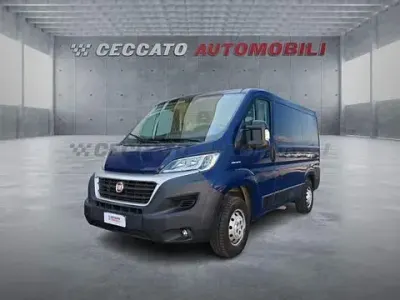 Usata Fiat Ducato 116 CV (85 kW) 2019 Blu Furgone