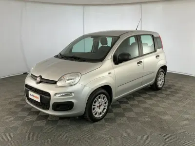 Usata Fiat Panda Easy 70 CV (51 kW) 2018 Argento Utilitaria