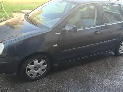 Usata VW Polo