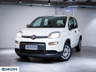 Usata Fiat Panda S 69 CV (50 kW) 2024 Bianco gelato Utilitaria