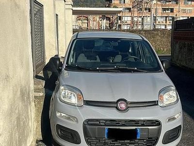 Usata Fiat Panda 2019 Grigio Berlina