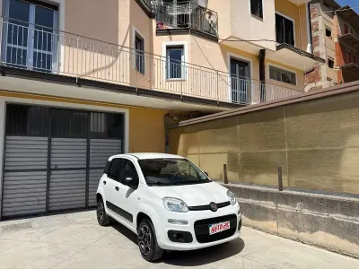 Usata Fiat Panda 4x4