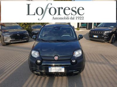 Usata Fiat Panda S 69 CV (50 kW) 2025 Verde foresta Utilitaria
