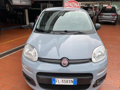 usata Fiat Panda 1.2 benz. easy