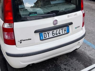 Usata Fiat Panda 77 CV (56 kW) 2009 Bianco Utilitaria