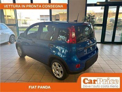 usata Fiat Panda Cross 1.0 FireFly S&S Hybrid City nuovo